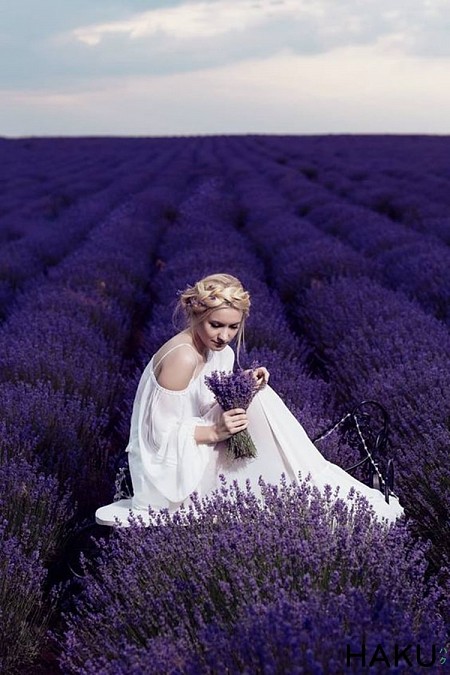 ‘’Bùa yêu’’ mang tên nàng hoa Lavender Pháp